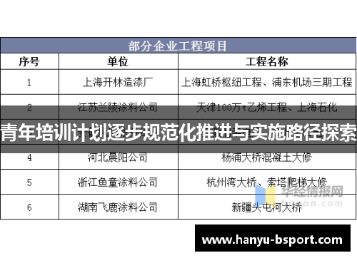 青年培训计划逐步规范化推进与实施路径探索 青年培训计划逐步规范化推进与实施路径探索