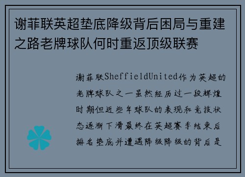 谢菲联英超垫底降级背后困局与重建之路老牌球队何时重返顶级联赛